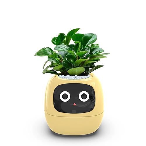 Smart blomsterpotte